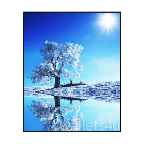 Magic Wallet, Tree with Snow - MWFWP 0161