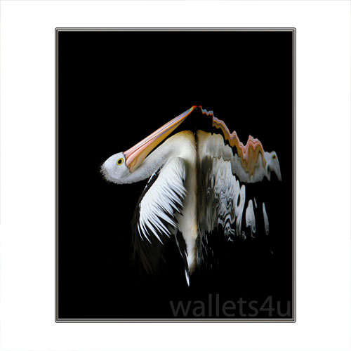 Magic Wallet, Stork - MWAP0107