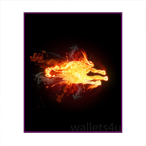 Magic Wallet, Horse on Fire - MWAP0094