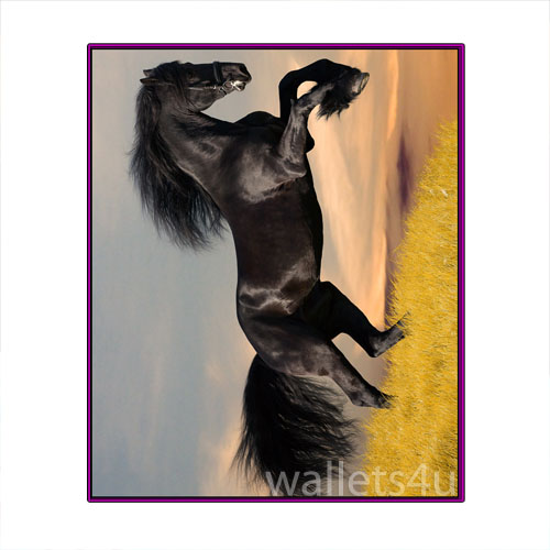 Magic Wallet, Horse, Black - MWAP0097