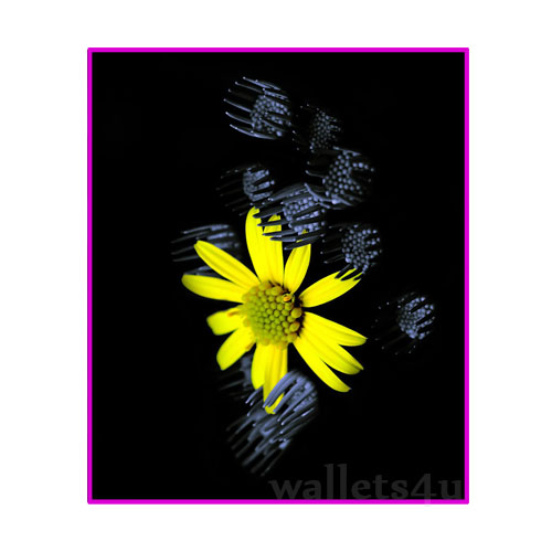 Magic Wallet, Flowers, yellow - MWFWP 0158