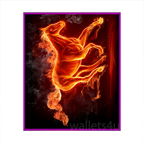 Magic Wallet, Horse on Fire - MWAP0095