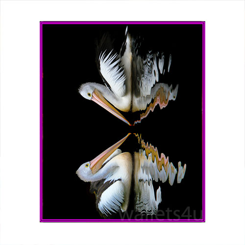 Magic Wallet, Storks - MWAP0108