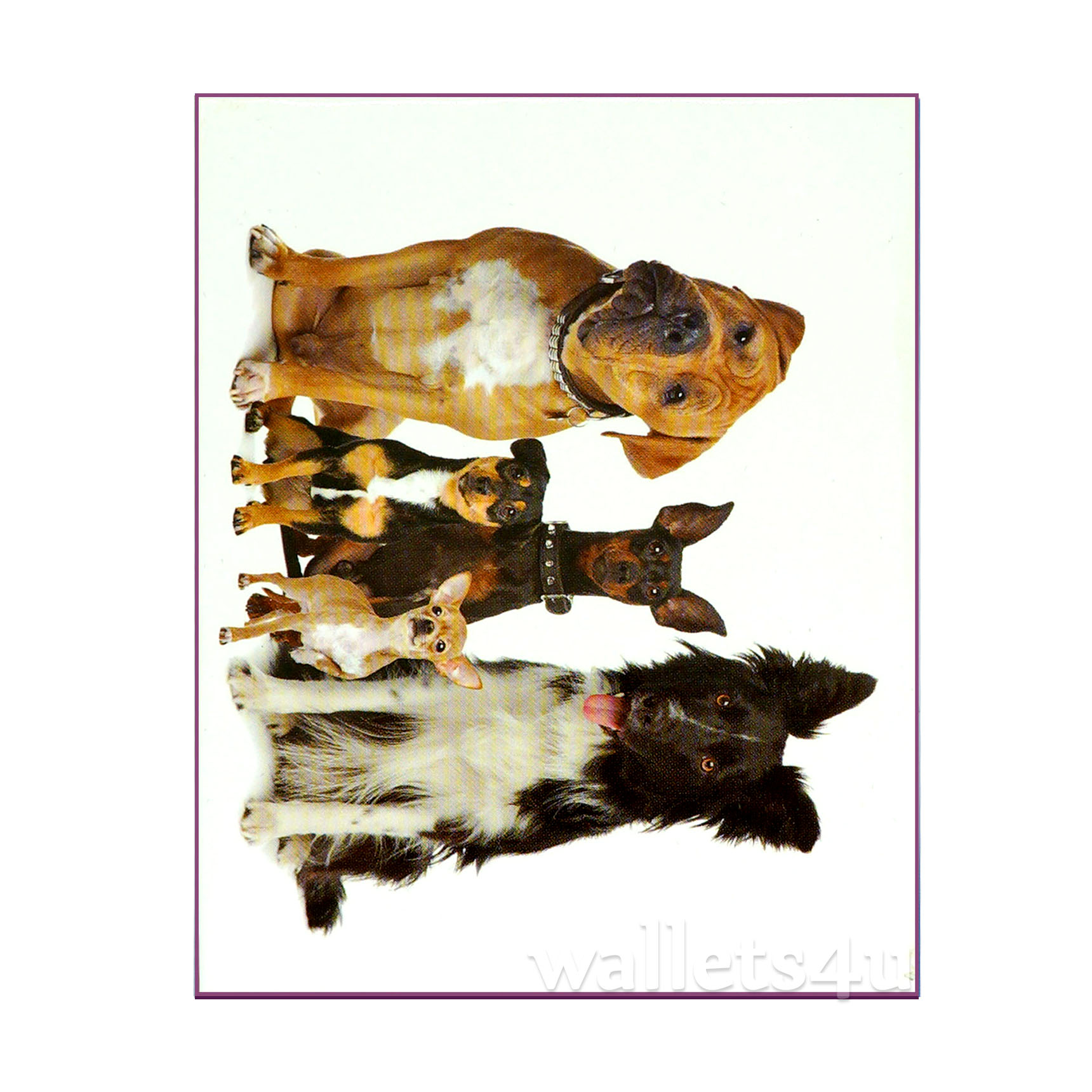 Magic Wallet, Dogs - MWAP0088